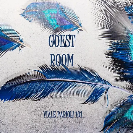 El-even - Guest